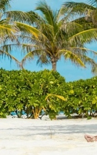 Шлюха Лика 30355